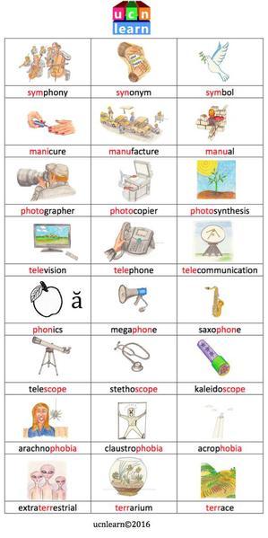 Root Word & Game Cards - Part 2